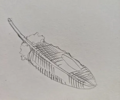 Zeichnung eines Vogels